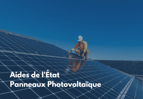 Découvrez comment bénéficier des aides de l'État pour rendre les panneaux photovoltaïque accessibles à tous